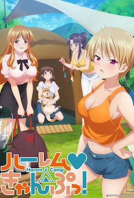 《後宮露營！ 8》封面