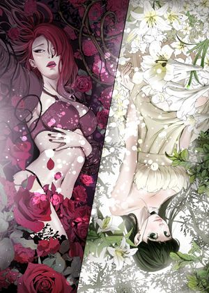 《禁断的欺诈之夜（一、二季）》封面